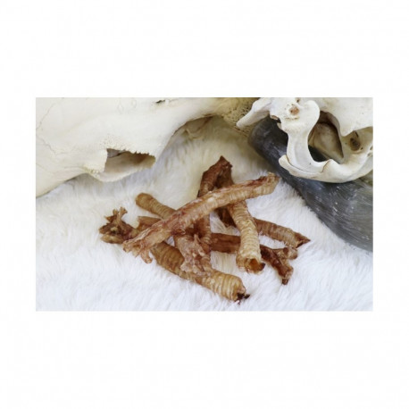 Tessa dried pig trachea for dogs 100g