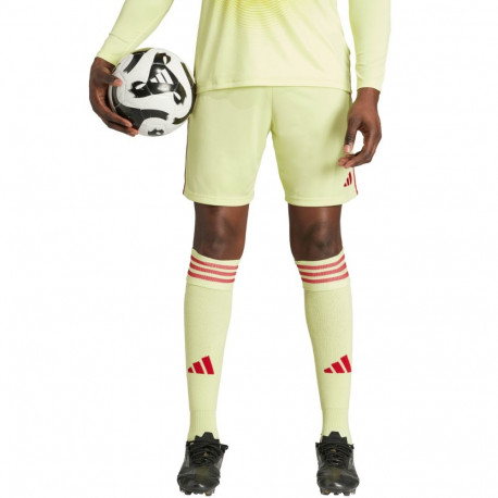 Adidas meeste lühikesed püksid Tiro 24 JI6090 2XL, kollane-punane