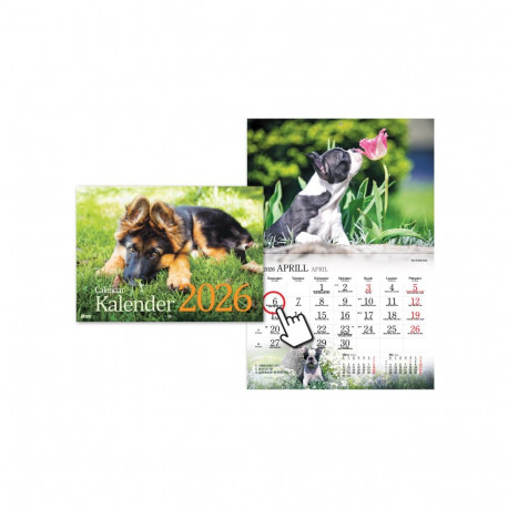 2911601000, Seinakalender Koerakalender