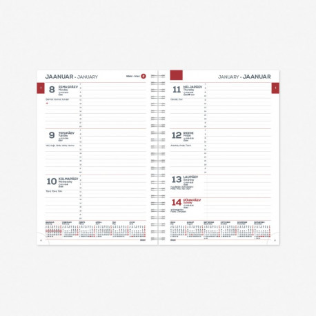 2912731000, Raamatkalender Minister Nädal H SpirEx sisu