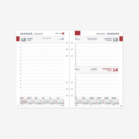 2913866000, Time-Master Maxi Päev sisu