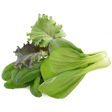 Click & Grow Plant Pod Asian Greens Mix 9tk