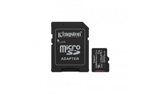 Kingston Canvas Select Plus MicroSDXC Memory card 1TB