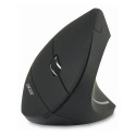 Acer HP.EXPBG.009 RF Vertical Wireless mouse