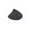 Acer HP.EXPBG.009 RF Vertical Wireless mouse