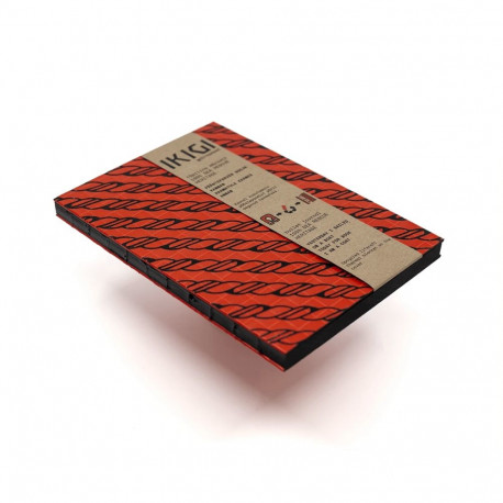 IKIGI disainmärkmik PÄÄSTEPARV