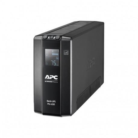 Back-UPS Pro 650VA BR650MI (schwarz)