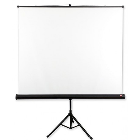 Avtek Tripod Standart 175 projection screen 1:1
