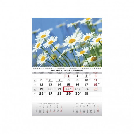 Seinakalender MONO pilt nr. 31 2026a.