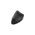 Logitech Lift Vertical for Business Wireless Mouse RF Wireless + Bluetooth, 4000 DPI, Graphite