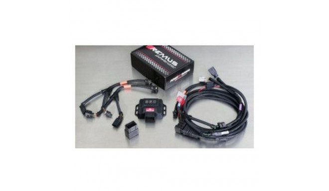 Lülituskilp Remus REMD910467