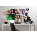 Spyder Calibration Kit for Monitors