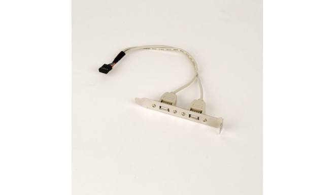 Bracket 2xUSB 2.0