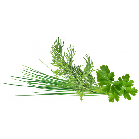 Click & Grow Plant Pod Classic Garnish Mix 9tk