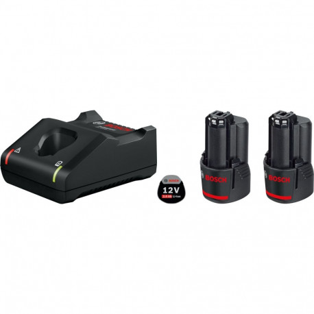 PRO Starter-Set 12V (2x GBA 12V 2.0Ah + GAL 12V-40 Professional) (schwarz, 2x Akku + Ladegerät)