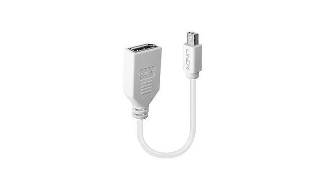 ADAPTER MINI DP TO DP/0.2M 41021 LINDY