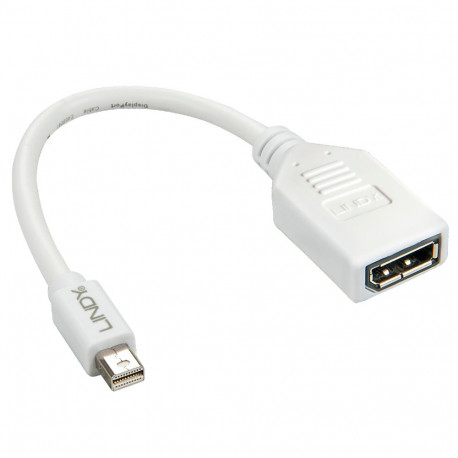 0.20m Mini DP to DP Adapter Cable