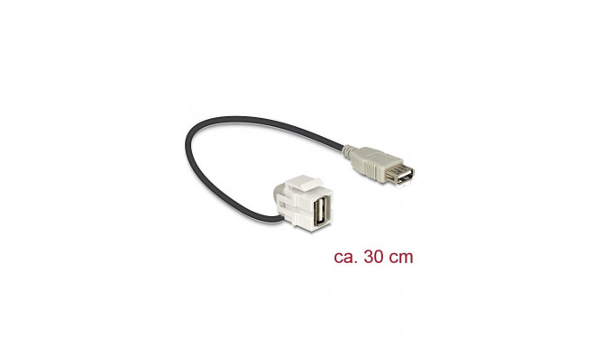 Delock Keystone module USB 2.0 A female > USB 2.0 A female 110° with cable