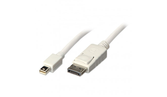 Mini DisplayPort - DisplayPort kaabel 1.0m, valge, 2160p
