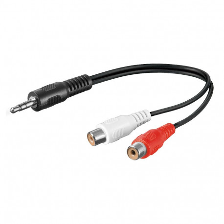 Üleminek 3.5mm (M) - 2xRCA (F) 0.2m