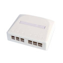 Surface Mount Module, 6 port, alphine white
