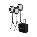 Kit Nanlite 3 light kit 600CSA w/Trolley Case & Light Stand