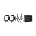 Kit Nanlite 2 light kit 600CSA w/Carry case & Light stand