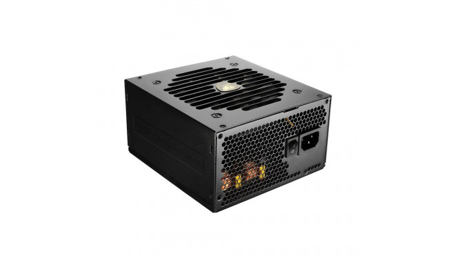 COUGAR GEX750 power supply unit 750 W 20+4 pin ATX ATX Black