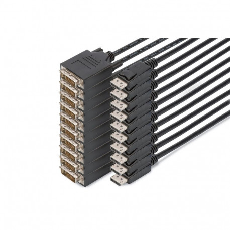 Digitus DisplayPort – DVI adapterkaabel, 10 tk komplekt
