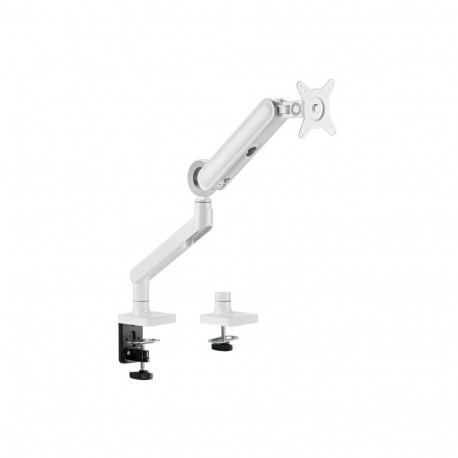 Equip 17"-35" Premium Monitor Desk Mount Bracket, White