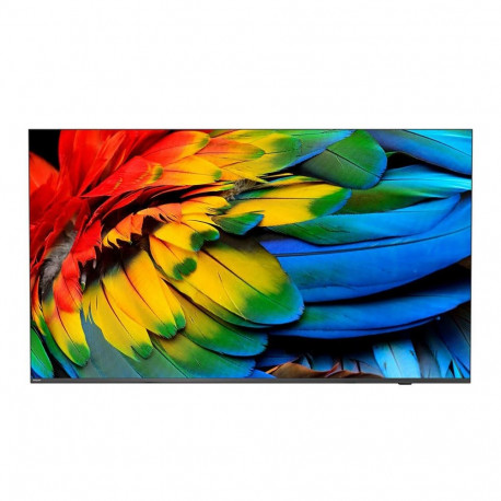 Philips 50HFL6214U 127 cm (50") 4K Ultra HD Smart TV Wi-Fi Anthracite 400 cd/m² Rollable display