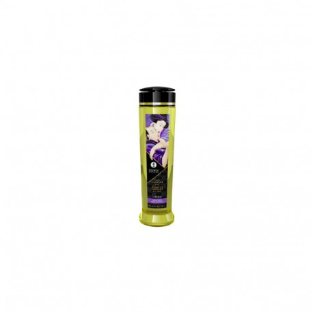 SHUNGA 0697309012027 massage cream &amp; oil Massage oil 240 ml Fruit