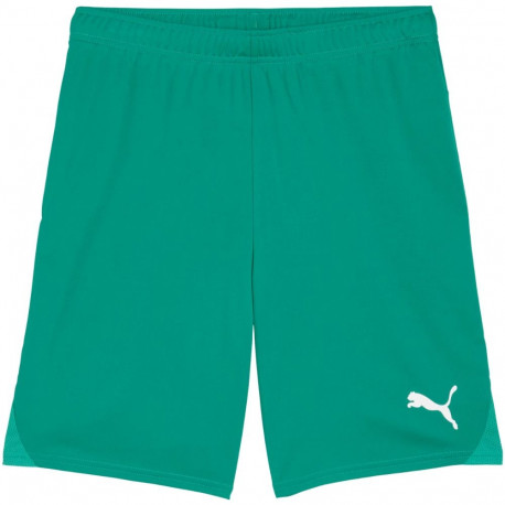 Puma meeste lühikesed püksid Team Goal 705752 05 L, roheline
