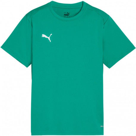 Puma laste särk TeamGoal Jersey 658637 05 164cm, roheline