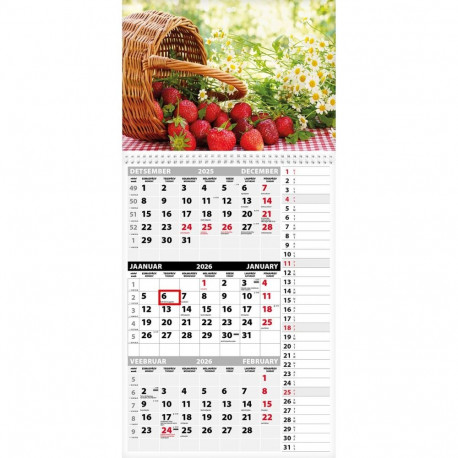 Seinakalender TRIO MEMO, avatud mõõt 297x630mm (PILT nr. 10) 00372/40322