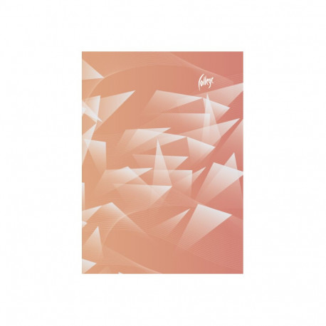 Kaustik klamberköites A4 CLASSIC ruuduline 80 lehte