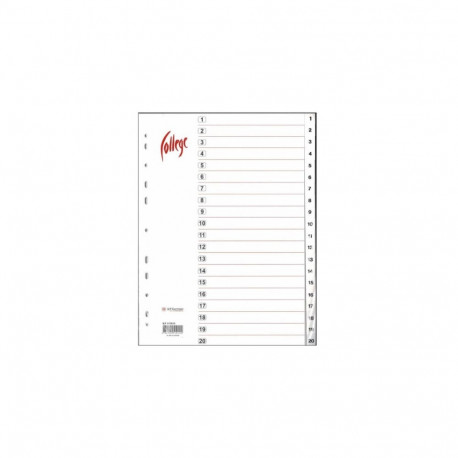Registri vahelehed A4 1-20 valge plast