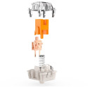 Razer Orange Switch Set, Key Switch (Orange/Transparent, 36 Pieces)