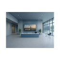 Viewsonic 55" 4K Commercial Display with ProAV Integration