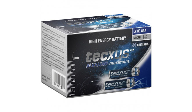 Tecxus LR03/AAA (Micro) Battery,