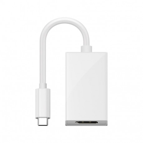 Goobay USB-C™ DisplayPort™ adapter, 0.2 m, valge