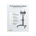 Goobay TV Presentation Stand Basic (Size L)