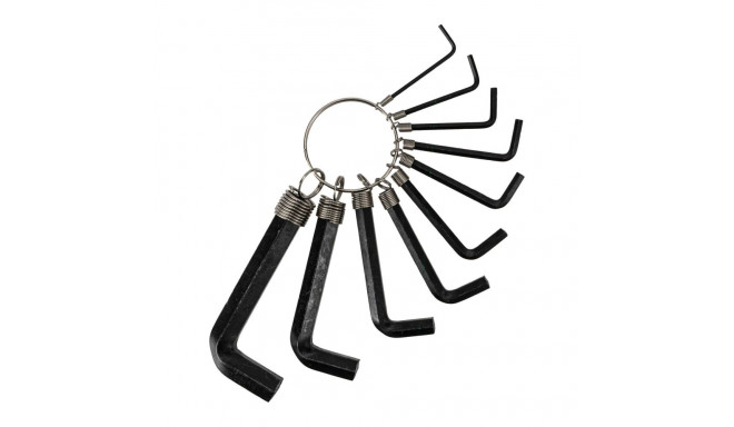 10-osaline kuuskantvõtmete komplekt rõngal, vutlaris