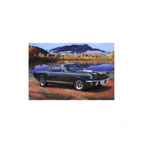 Model plastikust shelby mustang gt 350 h