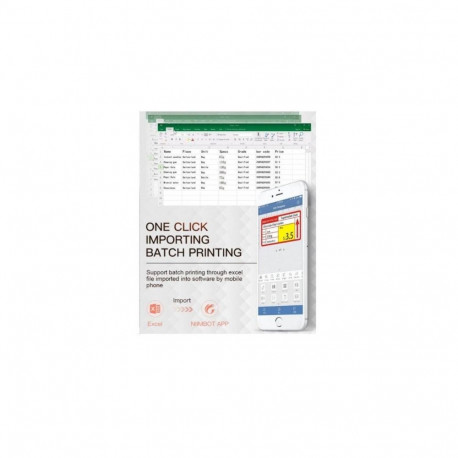 Niimbot B21 S sildiprinter valge