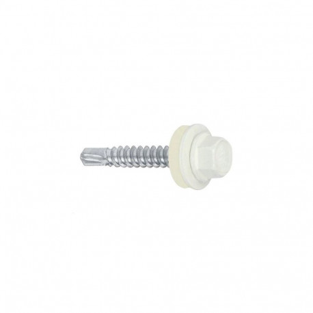 SELF SCREW WF 4.8X19MM RAL9010 (250)