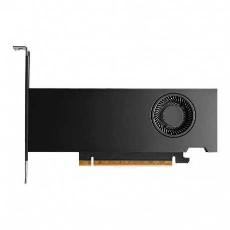 NVIDIA RTX 2000 PRO Blackwell PCI-Express x16 Gen 4.0, Dual Slot, 16 GB GDDR7 ECC 128-bit, HDCP 2.2 