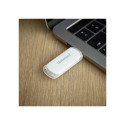 Intenso FLASH LINE 128 GB, USB stick (white, USB-C 3.2 Gen 1)