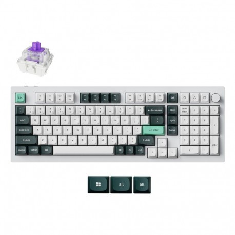 KEYBOARD WRL Q5 HE RGB/SHELL WHITE Q5H-P1 KEYCHRON