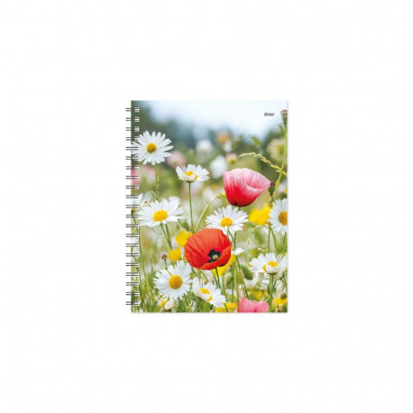 Raamatkalender Kantsler Spiral Disain Nädal Summer Vibe, spiraalköide, kaaned lamineeritud,trükitud 